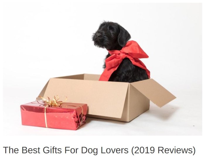 best gift for pets