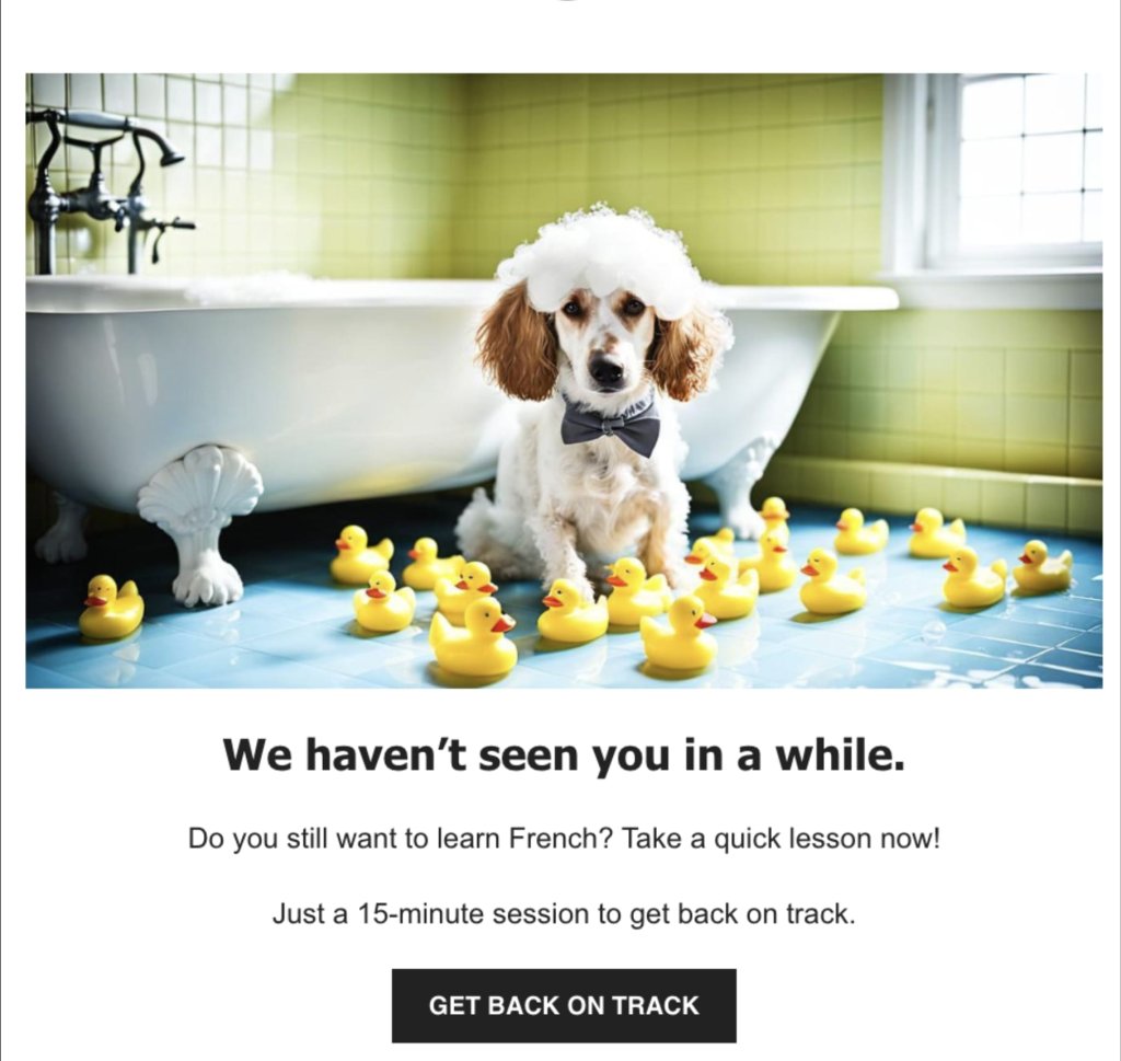"We Miss You" email with a dog in a bath surrounded by rubber ducks. Encourages returning to French lessons with a quick session.