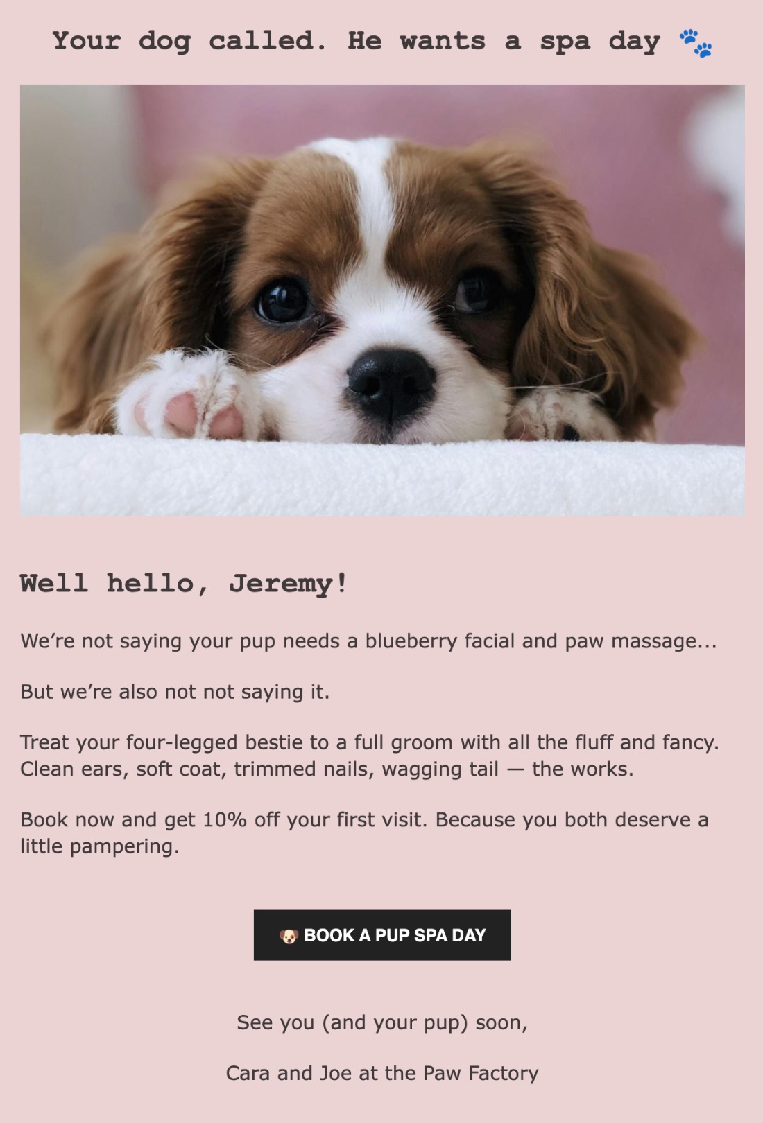 email copywriting example with a conversational tone as described in the text