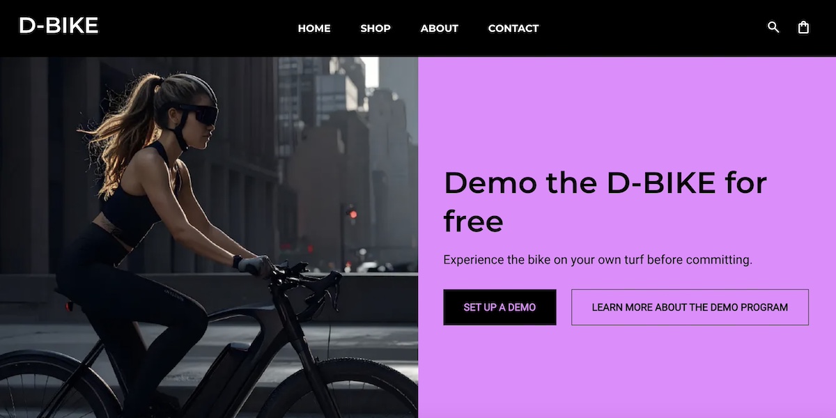 Example of a free demo landing page