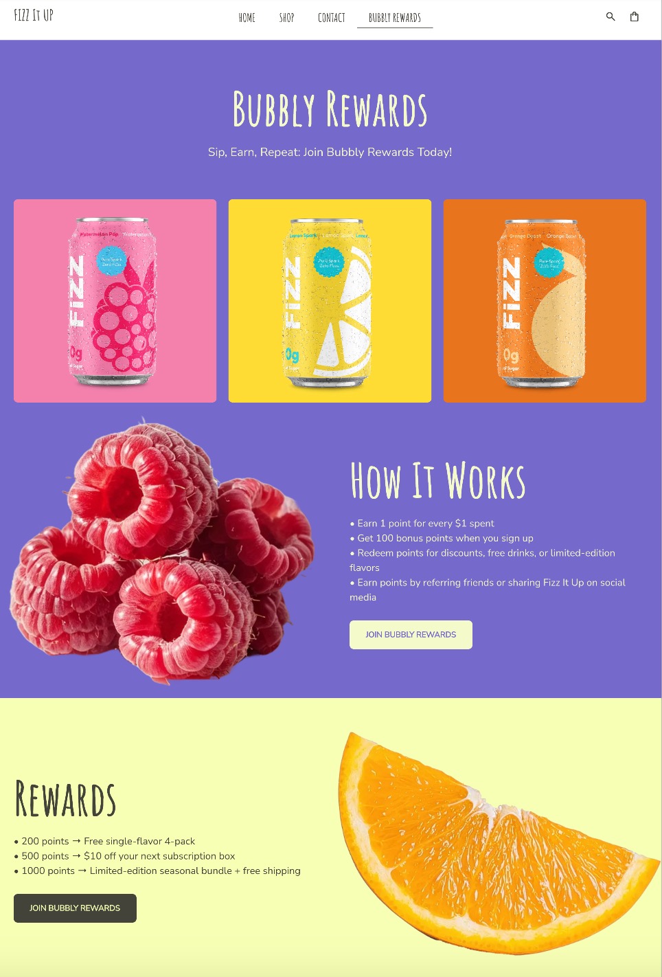 Example of a loyalty program website page