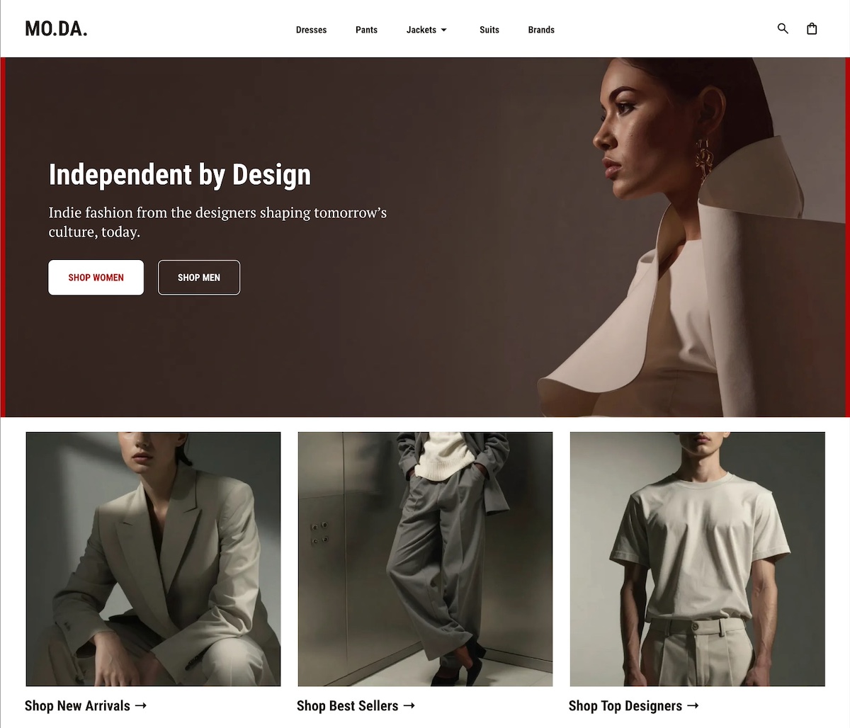 homepage example of ecommerce business with calls to action for different types of customers