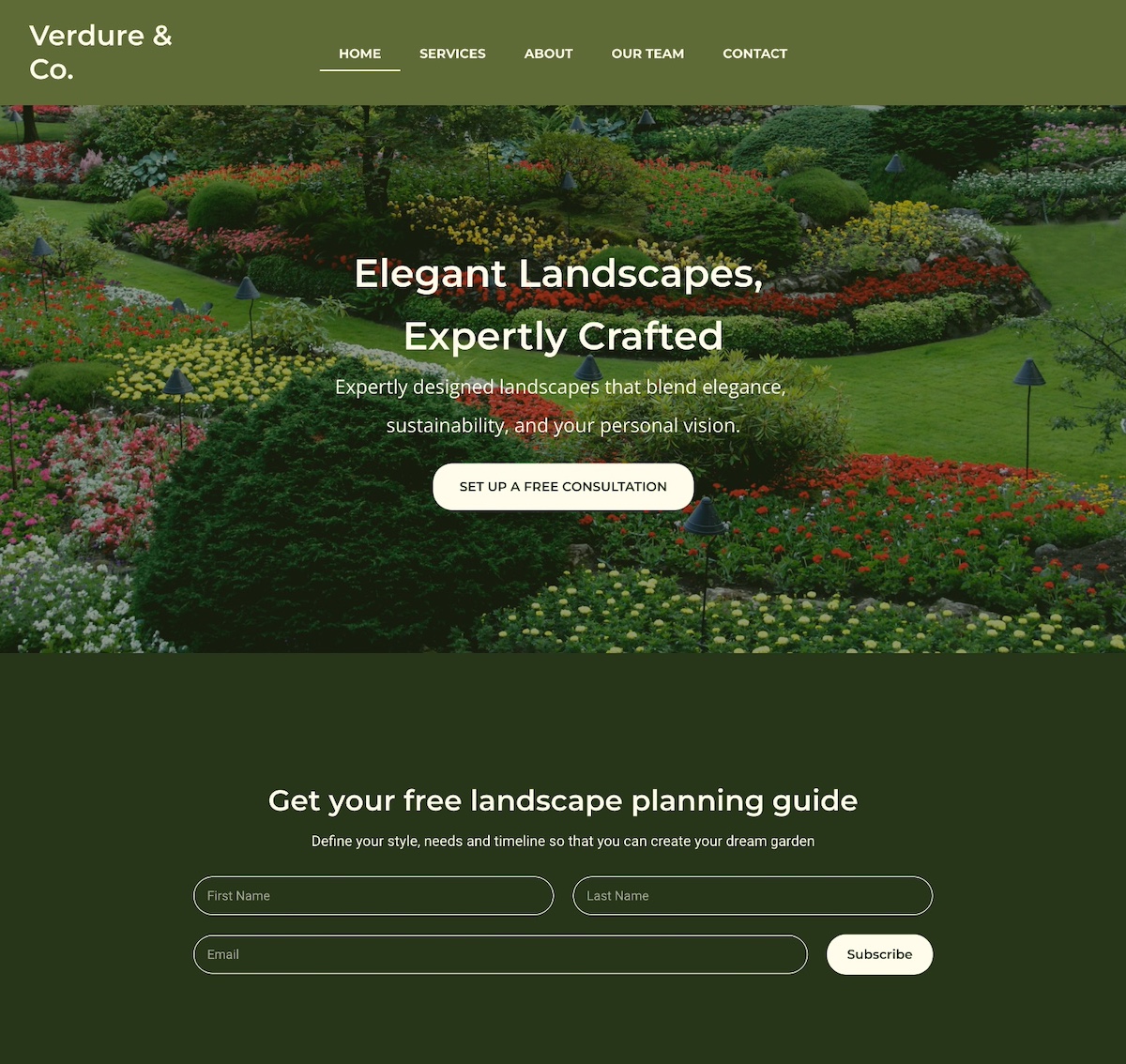 homepage example with lead generation and lead magnet