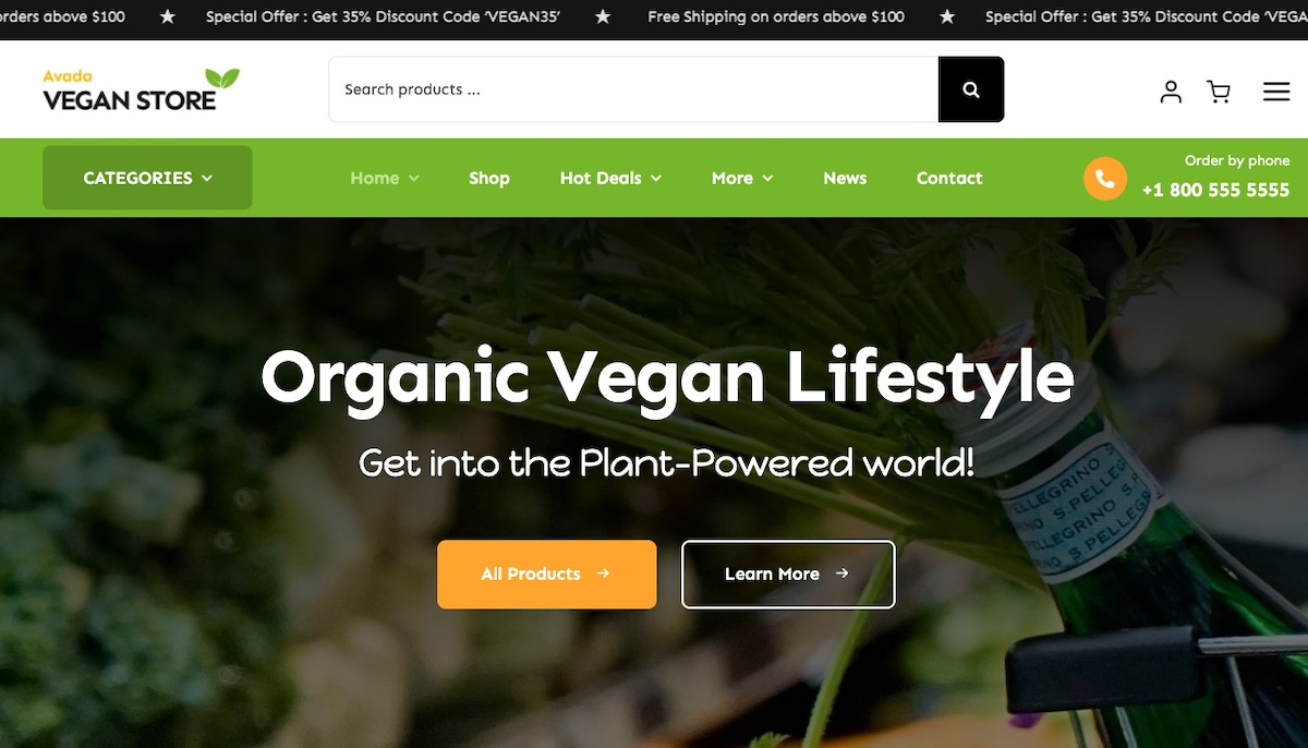 Example of Avada WordPress theme homepage header