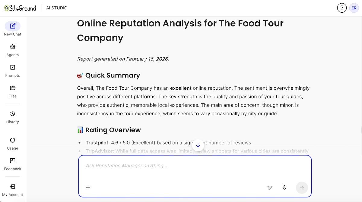 Online reputation analysis output by the SiteGround Reputation AI Agent