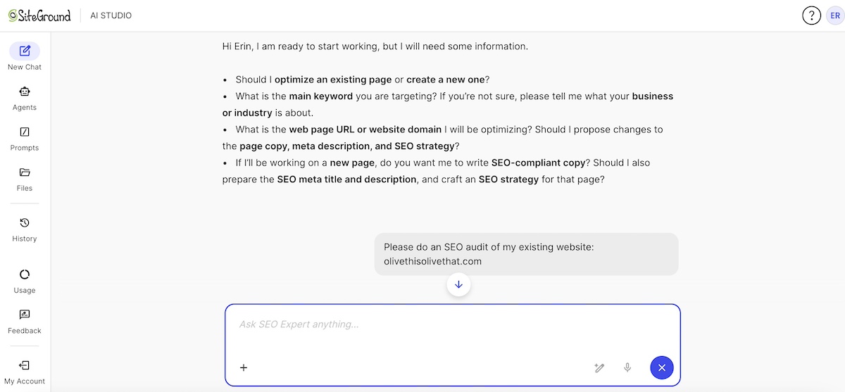 Prompt for SiteGround SEO Agent to do an SEO audit of a website