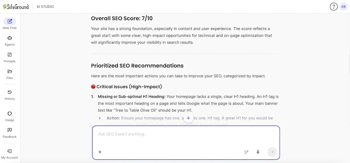 SiteGround SEO Agent response with an overall SEO audit of a website