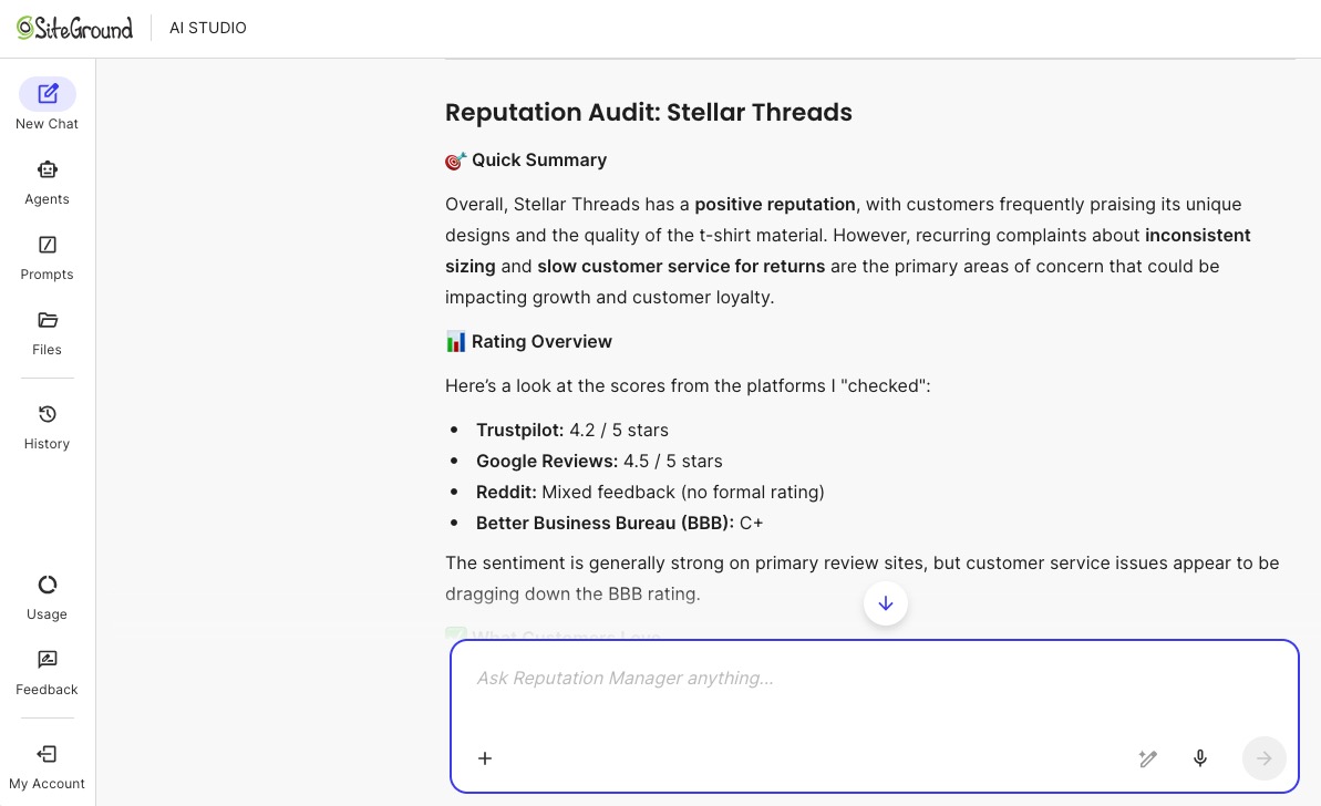 example of a business reputation audit done by an AI agent