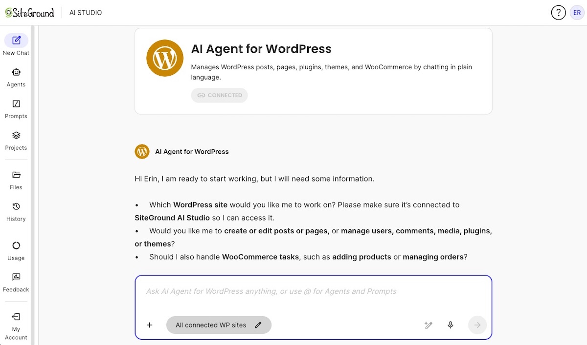AI Agent for WordPress: Scale Agency Multi-Site Operations - SiteGround ...
