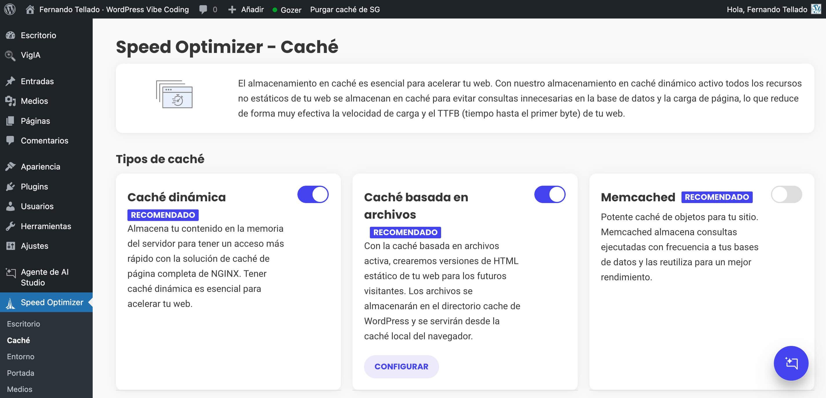 captura de pantalla del Speed Optimizer - Caché en WordPress