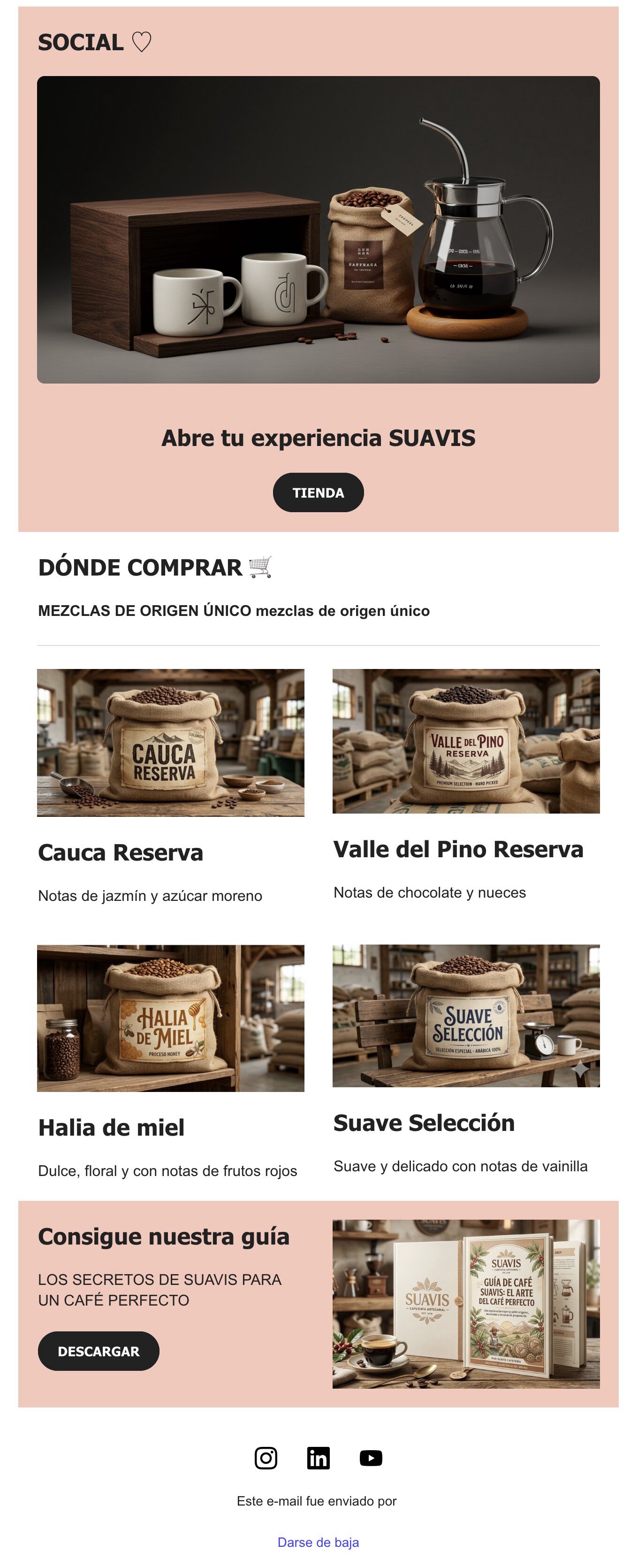 Captura ejemplo web correo contenido seleccionado