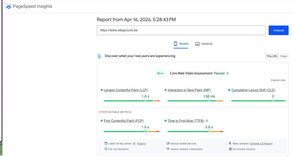 Captura de pantalla de PageSpeed Insights