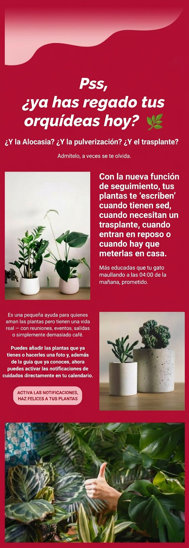 Ilustración de copy coloquial