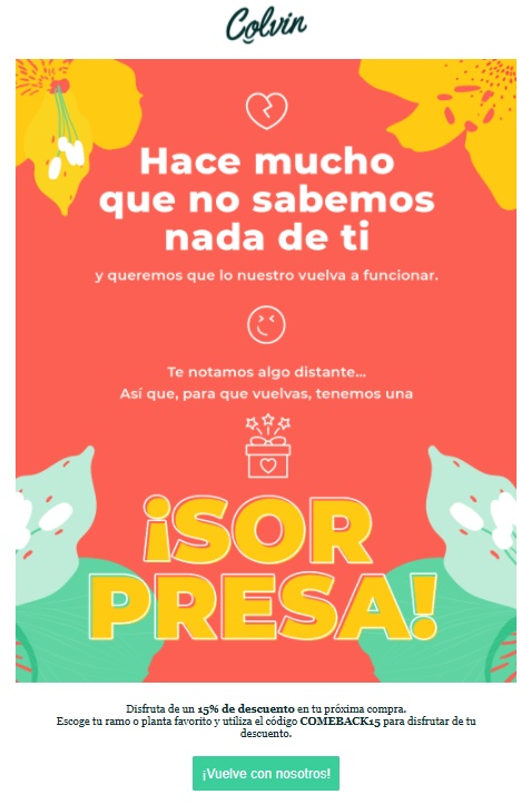Captura ejemplo newsletter de fidelización